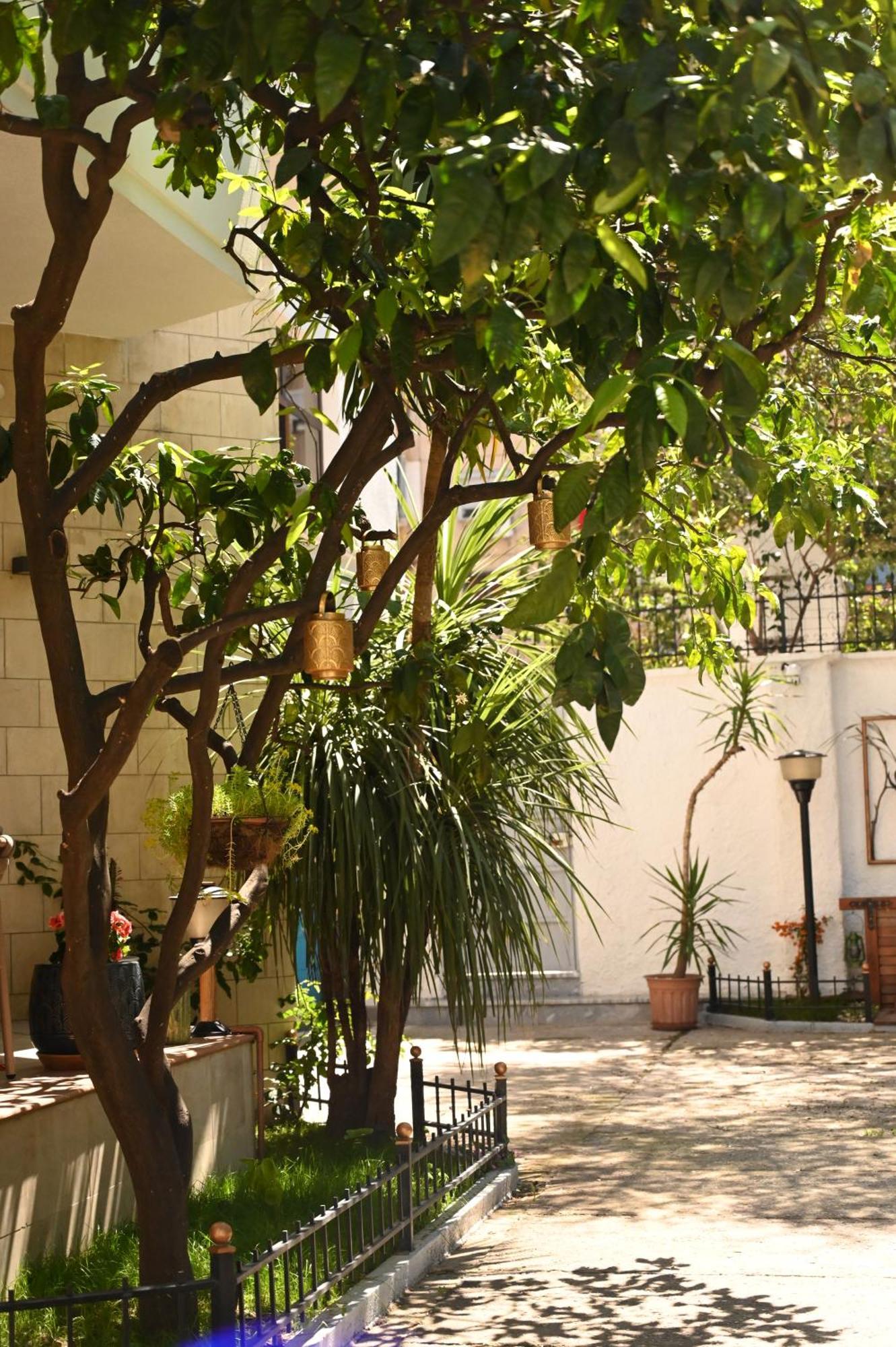 Niche Boutique Hotel تيرانا المظهر الخارجي الصورة